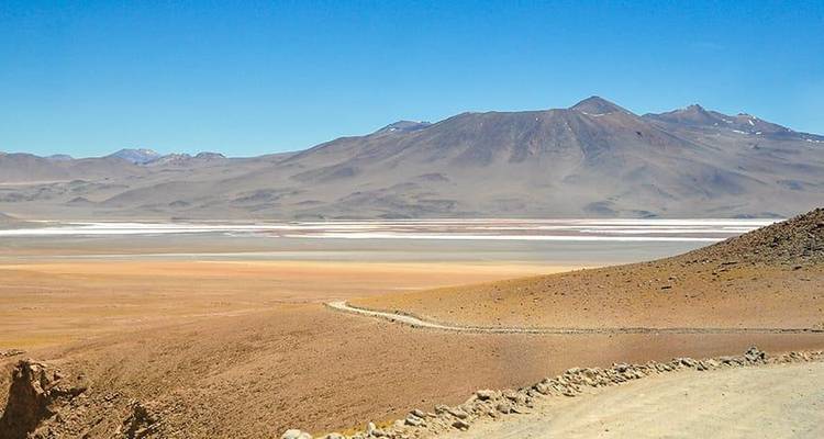 Aventura en Atacama 4D/3N - Bamba Travel 9