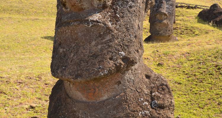 Primer plano de una sola estatua Moai en una colina cubierta de hierba.