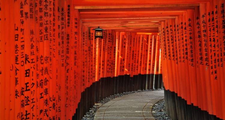 Endlose rote Torii-Tore säumen einen gewundenen Weg am Fushimi-Inari-Schrein und erzeugen einen beeindruckenden Tunneleffekt.