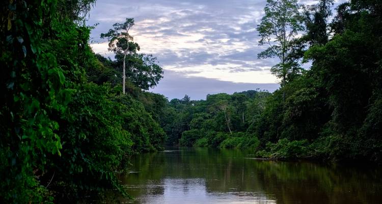 Rivière traversant une végétation luxuriante avec un ciel nuageux au crépuscule.
