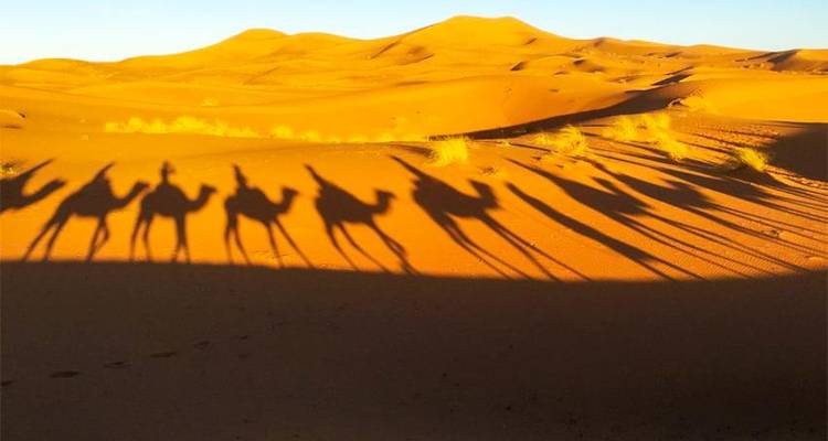 Aventura privada Gargantas y desiertos de Merzouga 3D/2N - Marrakech a Fez - Bamba Travel 1