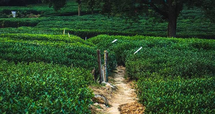 Beijing to Shanghai Group Adventure 12D/11N - Bamba Travel 2