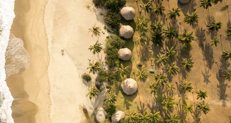 Vista aérea de cabañas entre palmeras cerca de la playa.