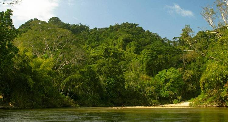 Expérience naturelle de Taironaka 3D/2N - Bamba Travel 9