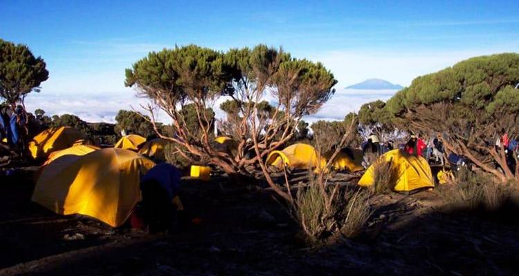 Excursionismo de Kilimanjaro Bamba - ruta Machame - 9D/8N - Bamba Travel 1