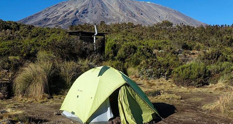 Excursionismo de Kilimanjaro Bamba - ruta Machame - 9D/8N - Bamba Travel 7