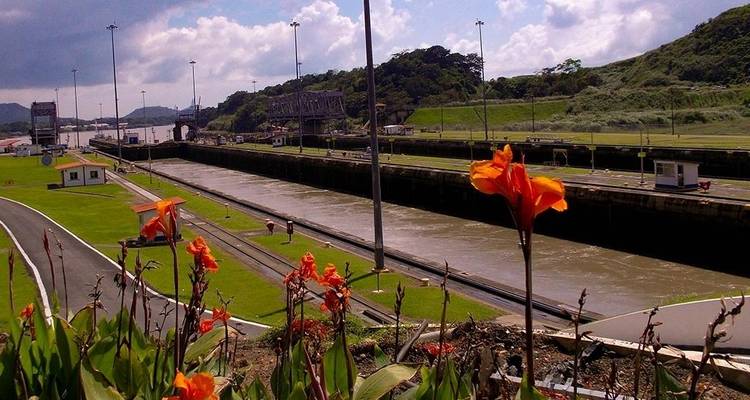 Panamakanal mit Blumen im Vordergrund.