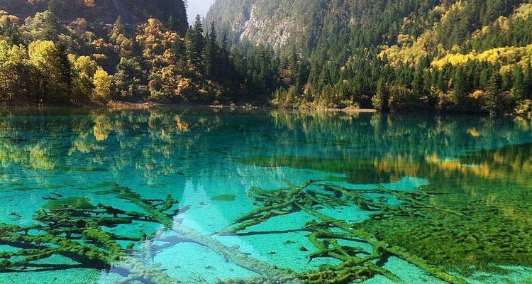 Pays féerique du monde de Tiebtan - Circuit de 4 jours à Jiuzhaigou dans le Sichuan - U2panda 4
