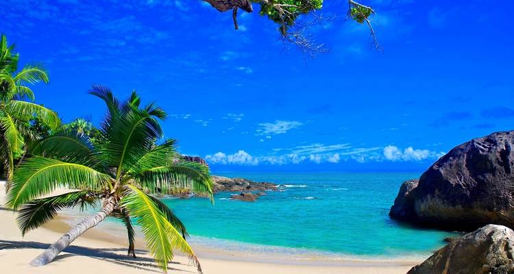 Descubrimiento de ballenas - Green Island Discovery 3