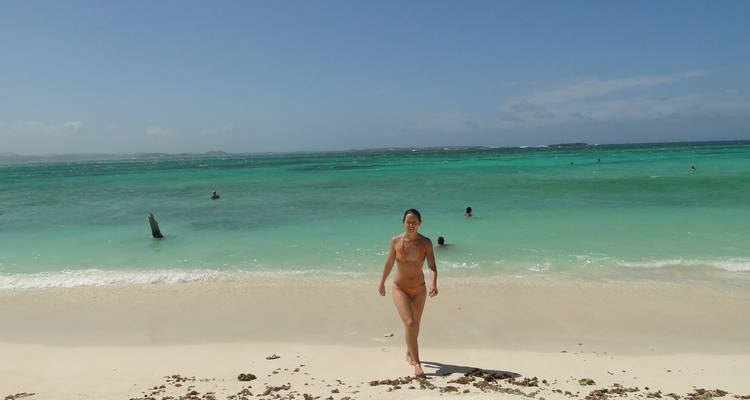 Descubrimiento de ballenas - Green Island Discovery 4