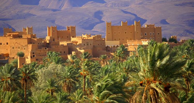 Camels & Kasbahs Family Tour - 9 Days - Nomadic Tours 2