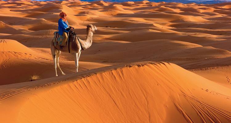 Camels & Kasbahs Family Tour - 9 Days - Nomadic Tours 1