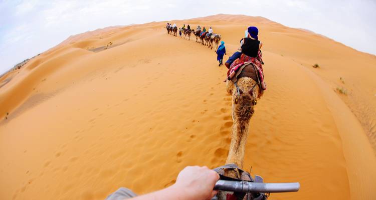 Camels & Kasbahs Family Tour - 9 Days - Nomadic Tours 9