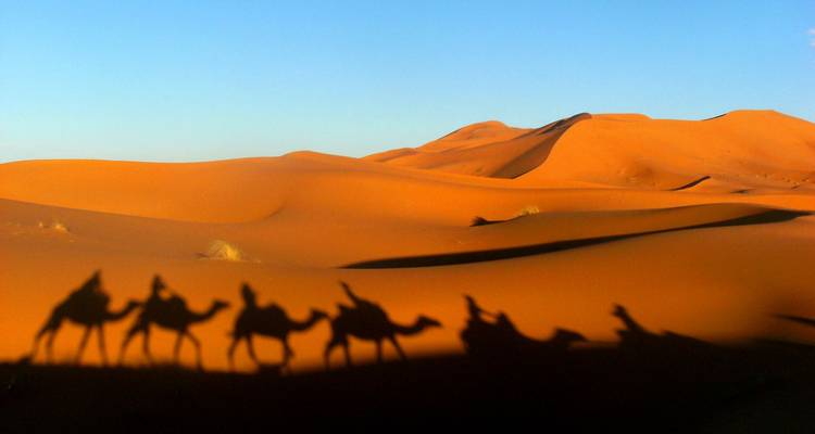 Chameaux, Kasbahs et plages en famille - 12 jours - Nomadic Tours 9