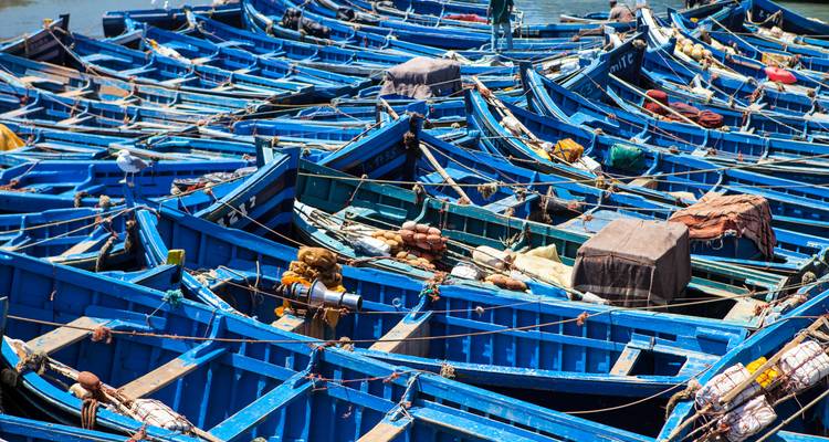 Chameaux, Kasbahs et plages en famille - 12 jours - Nomadic Tours 8