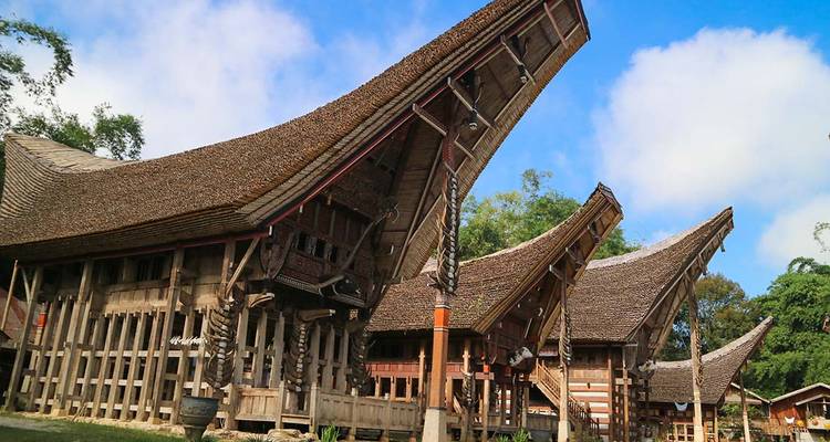 Vue rapprochée de toits tongkonan en bois ornés pointant vers le ciel sous un ciel bleu éclatant de Sulawesi.
