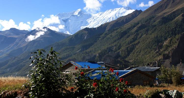 Senderismo Mardi Himal - Himalayan Planet Adventures 3