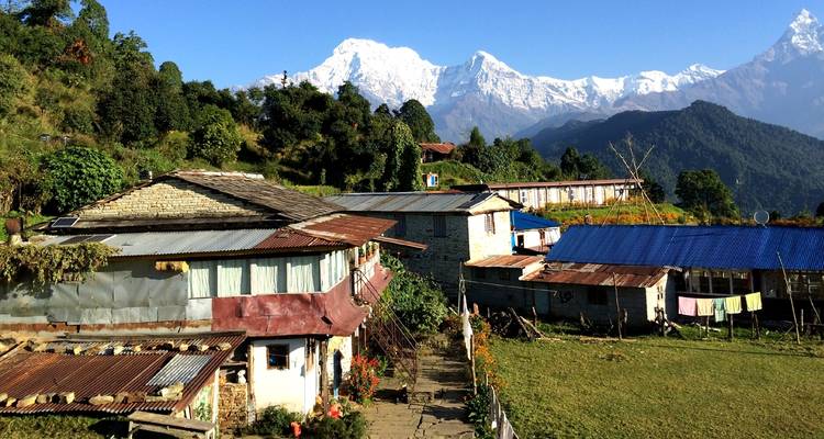 Senderismo Mardi Himal - Himalayan Planet Adventures 9