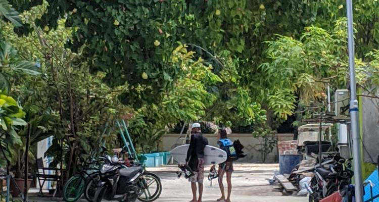 Zwei Personen tragen Surfbretter unter üppigen Bäumen.