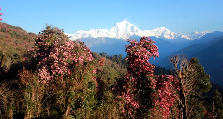 Annapurna Base Camp Trek - Himalayan Planet Adventures 6