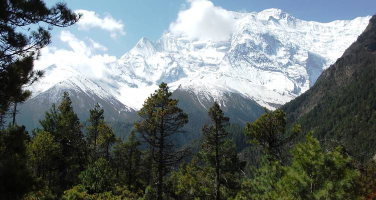 Annapurna Base Camp Trek - Himalayan Planet Adventures 10