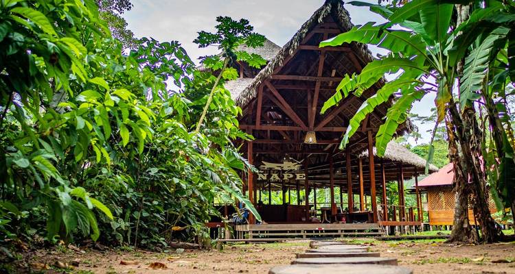 Un rústico albergue de la selva al aire libre con techo de paja se encuentra rodeado de follaje tropical.