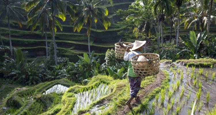 De Bangkok à Bali (from Bangkok to Bali) - Intrepid Travel 4