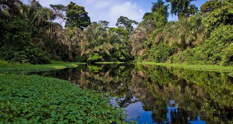 Supersaver | Discovering Costa Rica, 14 days - Destination Services Costa Rica 8