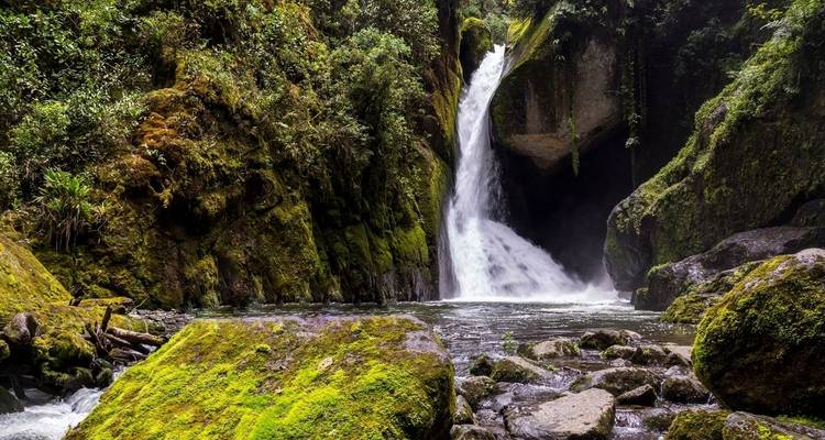 Wild Jungles and Secret Mountains of Costa Rica (On Request) - Destination Services Costa Rica 10
