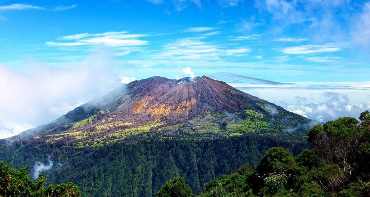 Wild Jungles and Secret Mountains of Costa Rica (On Request) - Destination Services Costa Rica 3