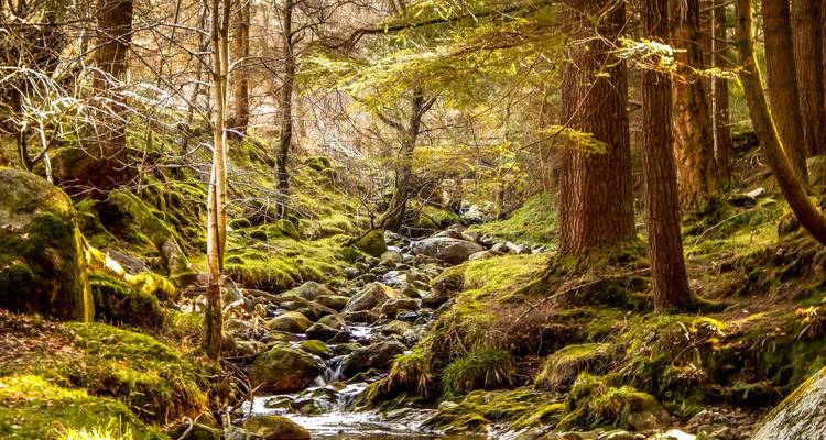 North of Ireland Escape - Globus 2
