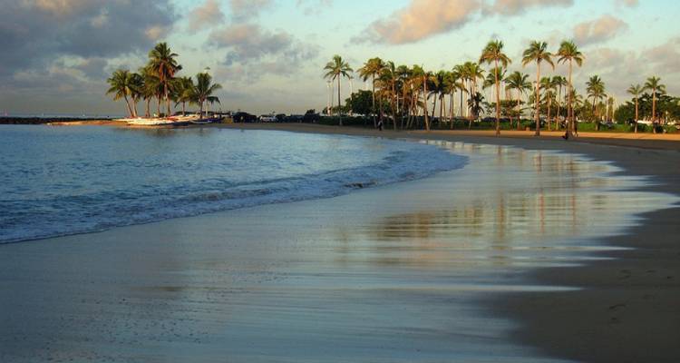 Palm-lined beach with reflections of palm trees in the water at dusk.