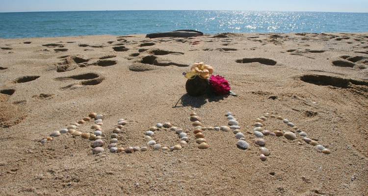Beach with letters 'ALOHA' written in shells on the sand.