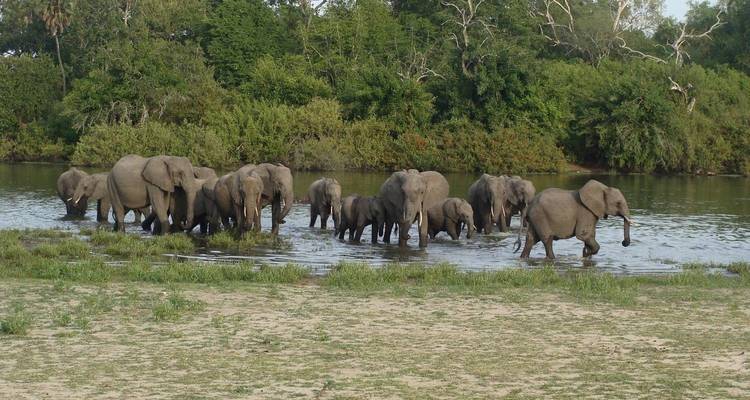 3 jours - Safari dans le parc national de Ruaha - vol depuis Zanzibar ou Dar Es Salaam - Silver Sky Travel 6