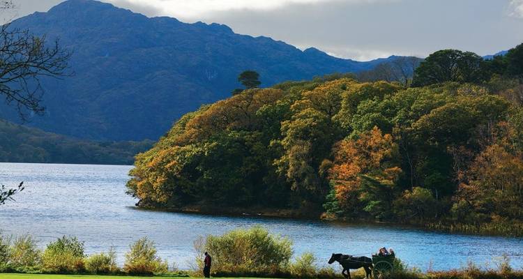 Paysage de parc avec des arbres aux couleurs d'automne et une calèche tirée par des chevaux.