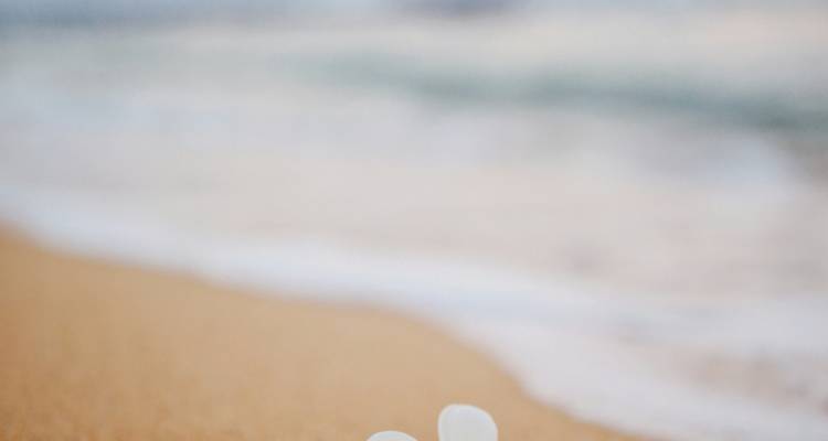 5 Day Classic Hawaii Experience(Bilingual: Chinese + English) - Intertrips 2