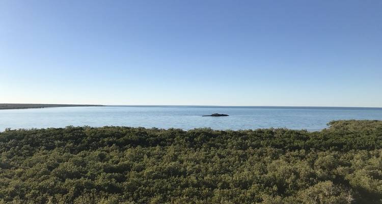 Kimberley - aller-retour complet à Broome (2024) (19 destinations) - APT 9