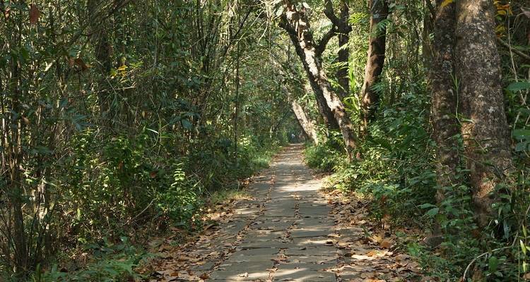 Temples sacrés et backwaters sereins : Circuit en Inde du Sud avec CGH Experience Hotels - MTA Destination Management Company 3