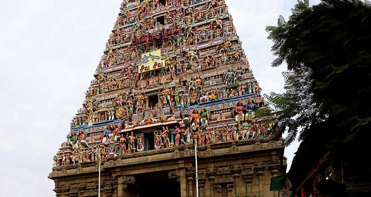 Temples sacrés et backwaters sereins : Circuit en Inde du Sud avec CGH Experience Hotels - MTA Destination Management Company 6