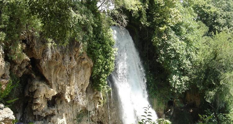 Wasserfall, der über Felsen kaskadiert, umgeben von grünen Bäumen.