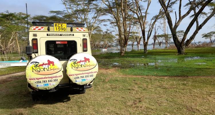 Touristenfahrzeug auf einer Grasfläche in der Nähe eines Sees geparkt.