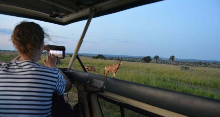3-Day Akagera National Park Wildlife Safari - Ngoni Safaris Uganda 4