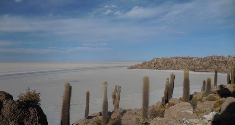 Bolivia in 4 days and 3 nights: Discover the Magic of the Altiplano - BM Tours 6