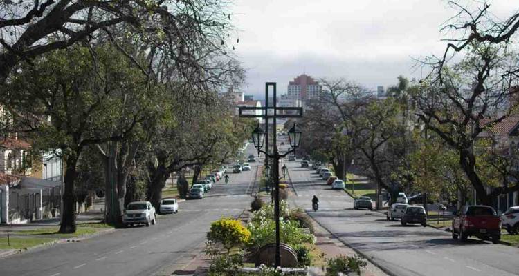 Lange rechte laan omzoomd met kale bomen en auto's die naar het stadscentrum van Salta leidt.