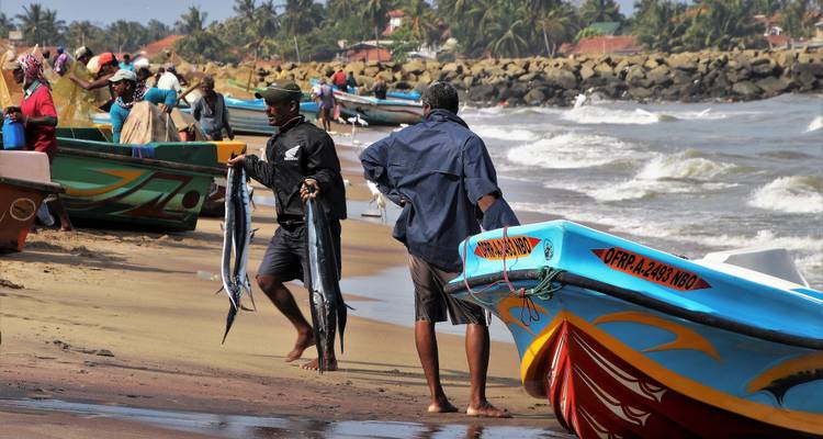 Circuit de 14 jours au Sri Lanka - Holiday Lanka Tours 1