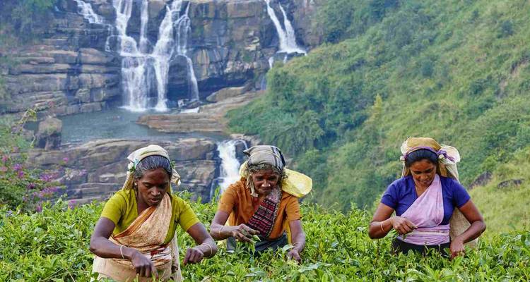 Top-Ten Of Sri Lanka - BH Lanka Tours  7