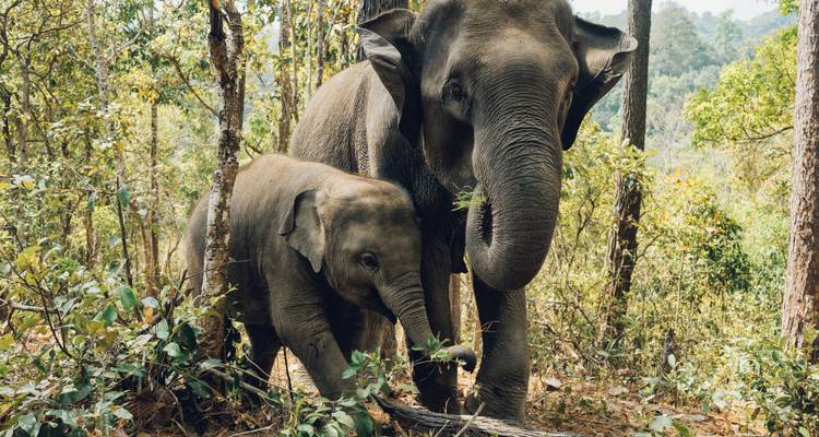 Top-Ten Of Sri Lanka - BH Lanka Tours  9