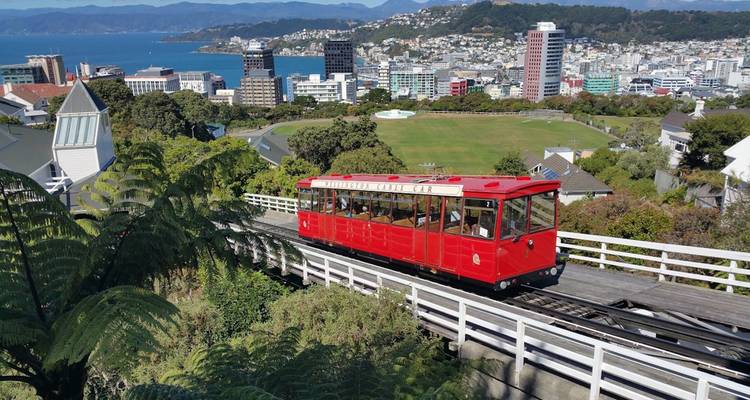 Red cable car in Wellington with cityscape and ocean in background.