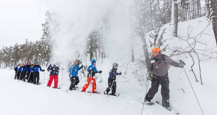 Winter wonders for families - Upitrek 3