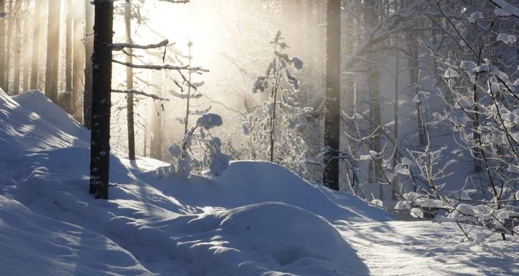 Winter wonders for families - Upitrek 4
